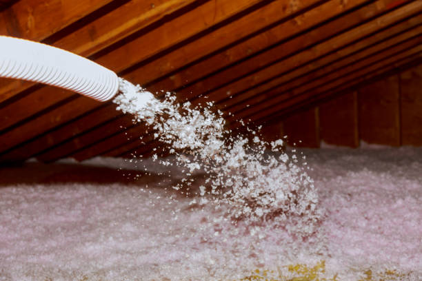Best Crawl Space Insulation  in Eupora, MS