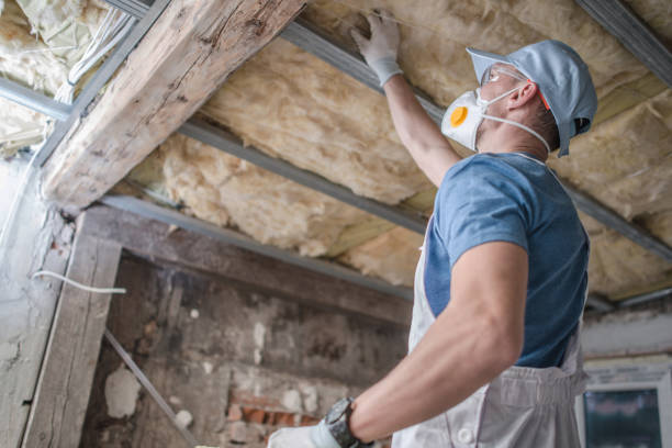Best Fiberglass Insulation  in Eupora, MS