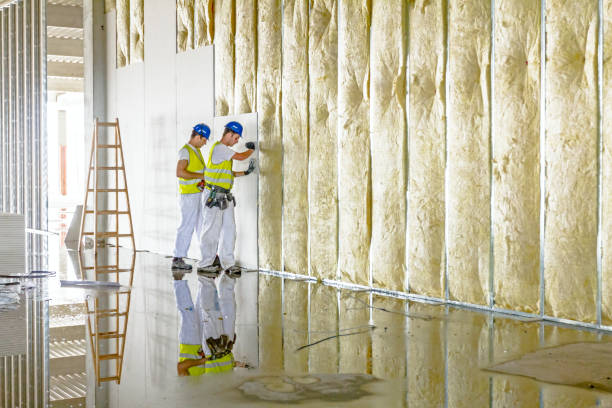 Best Spray Foam Insulation  in Eupora, MS
